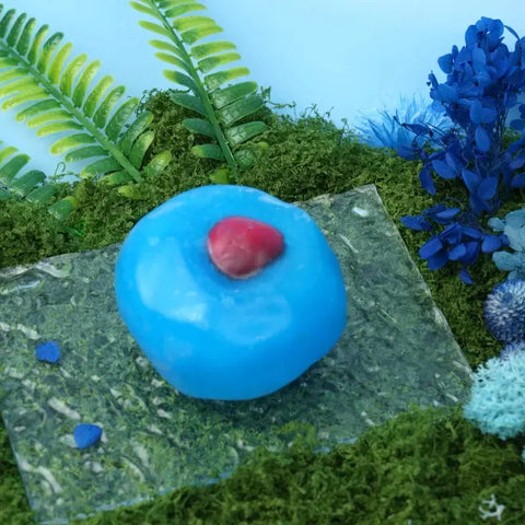 Pawtoto Soft Stretchy Squishy Ball – Handmade Fidget & Sensory Toy Collection