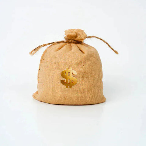 Pawtoto  Gold Coin Sack Squishy Toy Handmade Food Grade Silicon Creamy Clay Feel Soft Quick Rebound