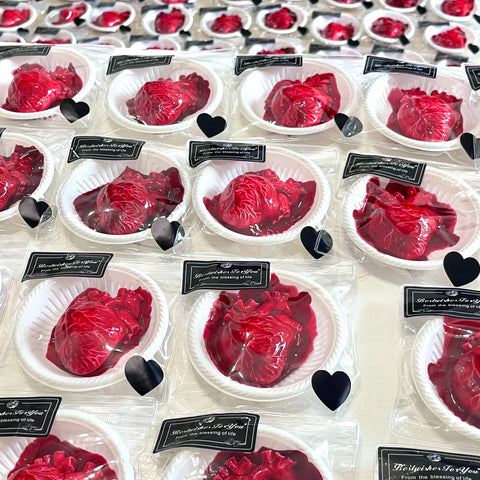 Pawtoto Realistic Silicone Heart Squishy Toy Food Grade Silicon Clay Feel Very Soft Slow Rebound