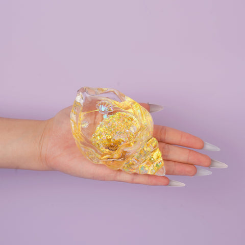 Pawtoto Clear Seashell Squishy Toy Handmade Food Grade Silicon Water Feel Medium Firm Quick Rebound