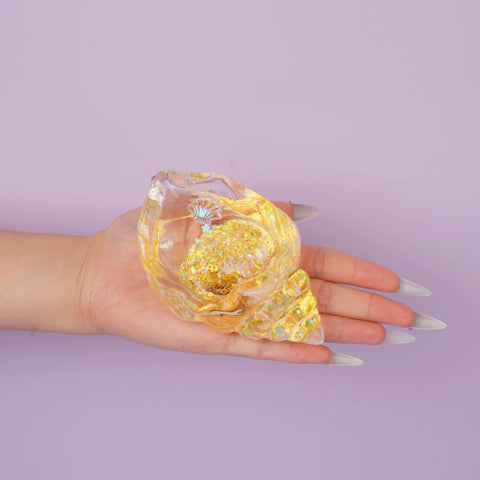 Pawtoto Clear Seashell Squishy Toy Handmade Food Grade Silicon Water Feel Medium Firm Quick Rebound