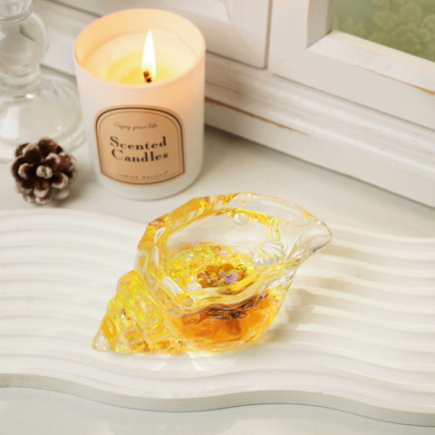 Pawtoto Clear Seashell Squishy Toy Handmade Food Grade Silicon Water Feel Medium Firm Quick Rebound