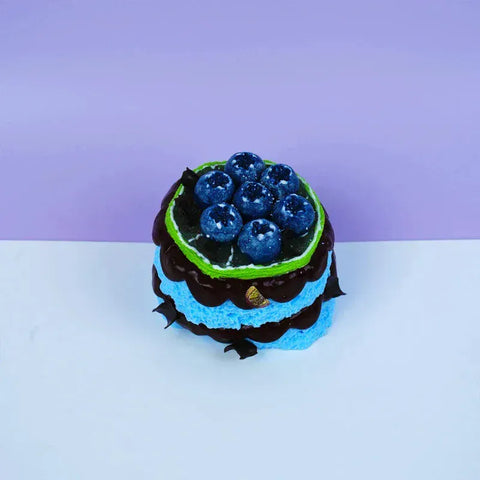 Pawtoto Yummy Birthday Cake Series Squishy Toy Handmade Food Grade Silicon Creamy Clay Feel Soft Quick Rebound