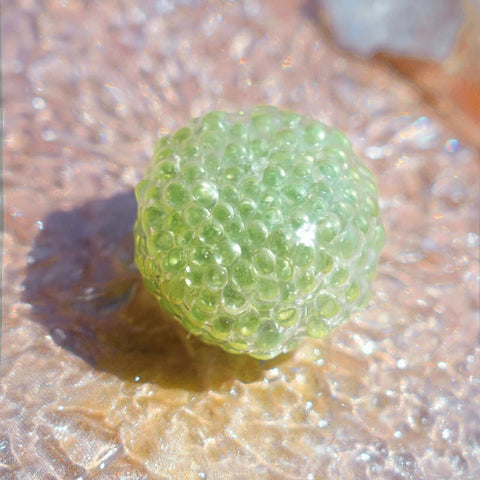 Pawtoto Grape Beads Pink-Handcrafted Grape Bead Sensory Squeeze Ball Squishy Toy Handmade