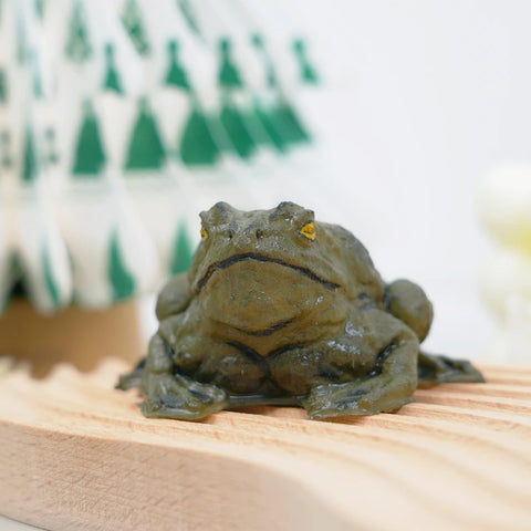 Pawtoto Realistic Frog Squishy Toy Handmade Food Grade Silicon Creamy Clay Feel Firm Soft Quick Rebound