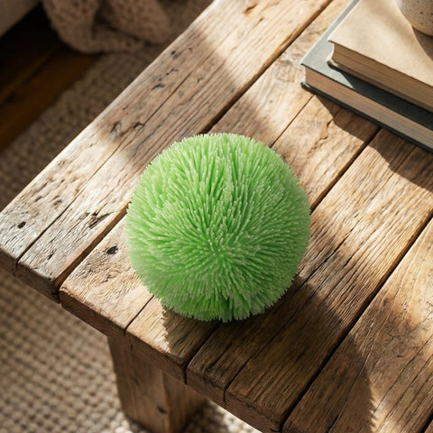 Pawtoto Sea Urchin Big Squishy Ball Stress Relief Toys Squishy Stressball