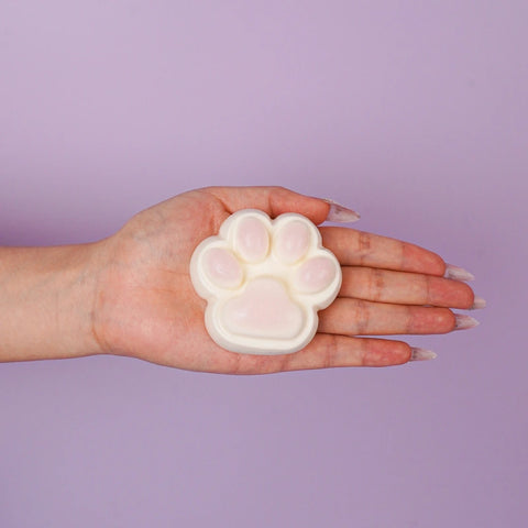 Pawtoto Cute Cat Paw Series Squishy Toy Handmade Food Grade Silicon